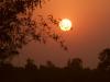 Sun Rise at Darbat Pur, Uttarpradesh